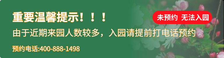 市民公墓邙山墓园
